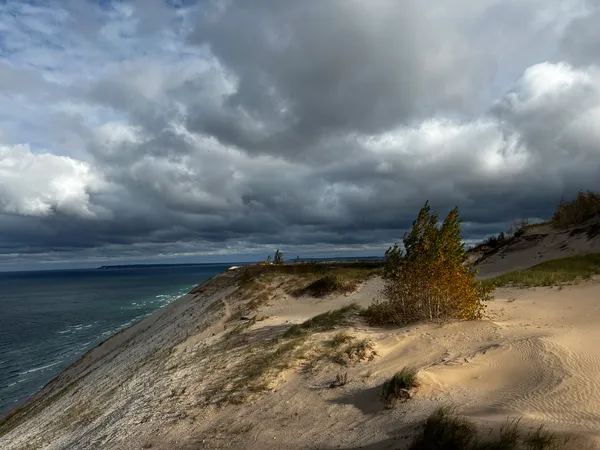 Christine Miller's cover image